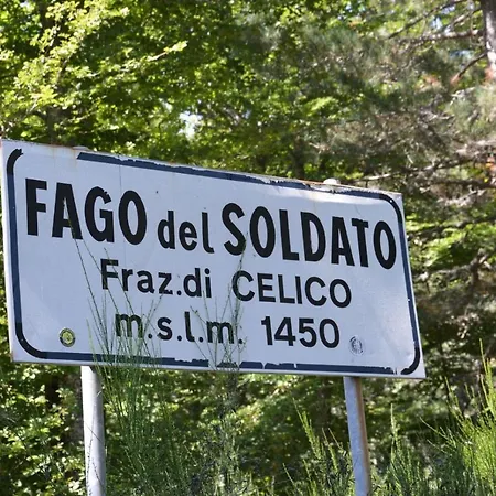 La Casa Nel Bosco *