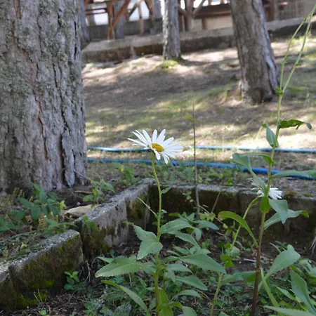 롯지 La Casa Nel Bosco