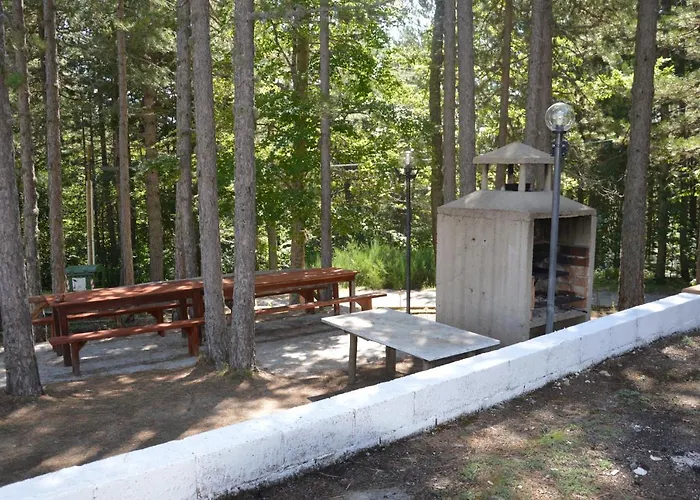 אכסניה La Casa Nel Bosco קמיליאטלו סילאנו